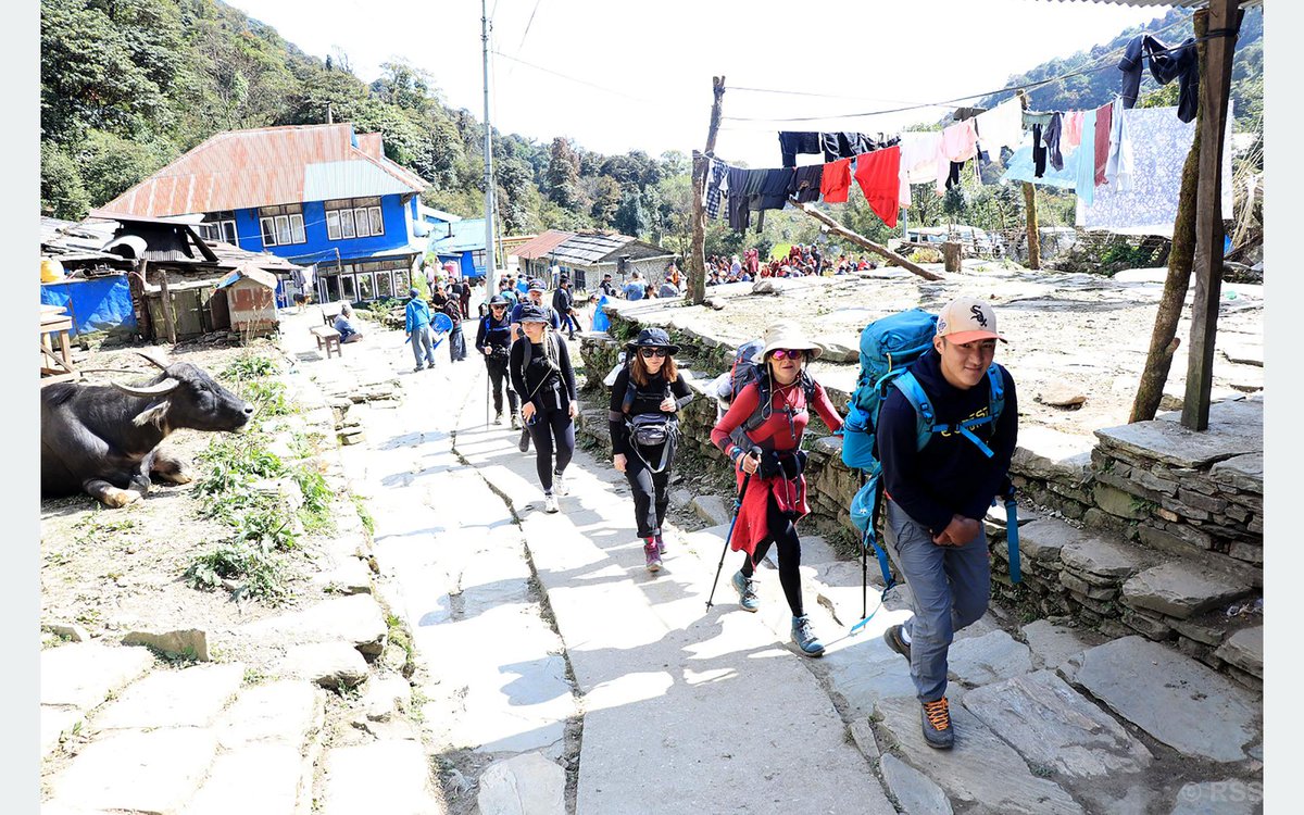 म्याग्दीको अन्नपूर्ण गाउँपालिका–६ घोडेपानीमा कास्कीको उल्लेरी हँुदै पदयात्रा गरेर आउँदै गरेका पर्यटक । सूर्योदय र हिमशृङ्खलाको अवलोकनका लागि समुद्री सतहदेखि दुई हजार ८०० मिटर उचाईमा अवस्थित घोडेपानीमा केही दिन यता पर्यटक आउने क्रम बढ्दो छ । तस्बिरः सन्तोष गौतम/रासस