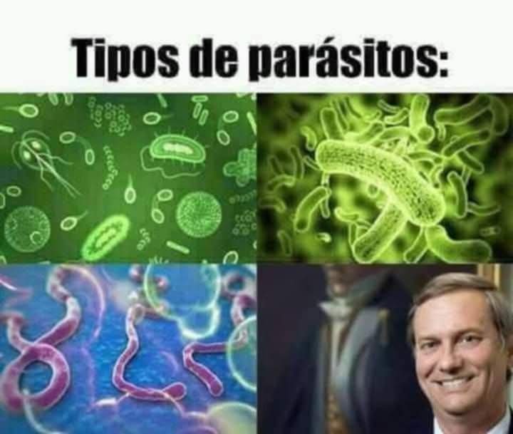 Chetmario's tweet image. ☝️🤡