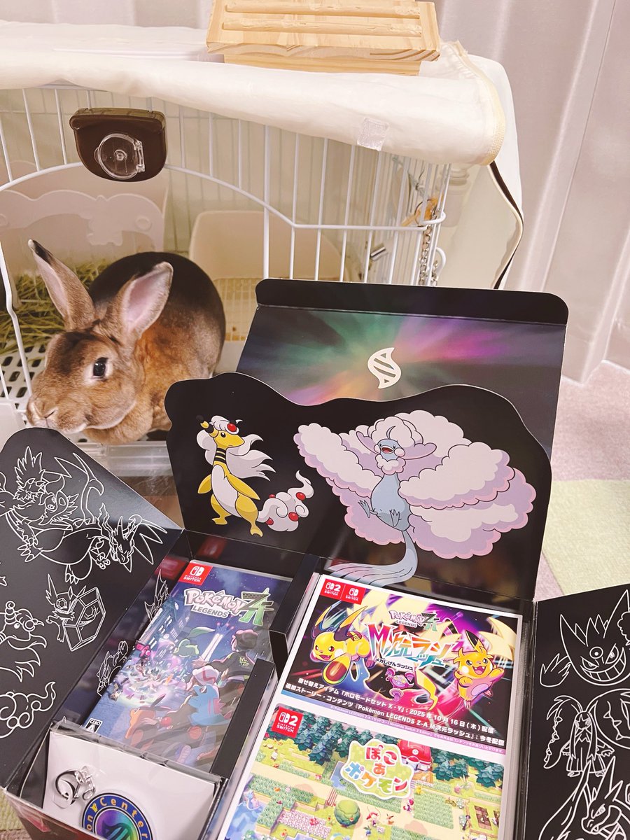 ZA届いた！今回も梱包から凝ってるアガる🙌