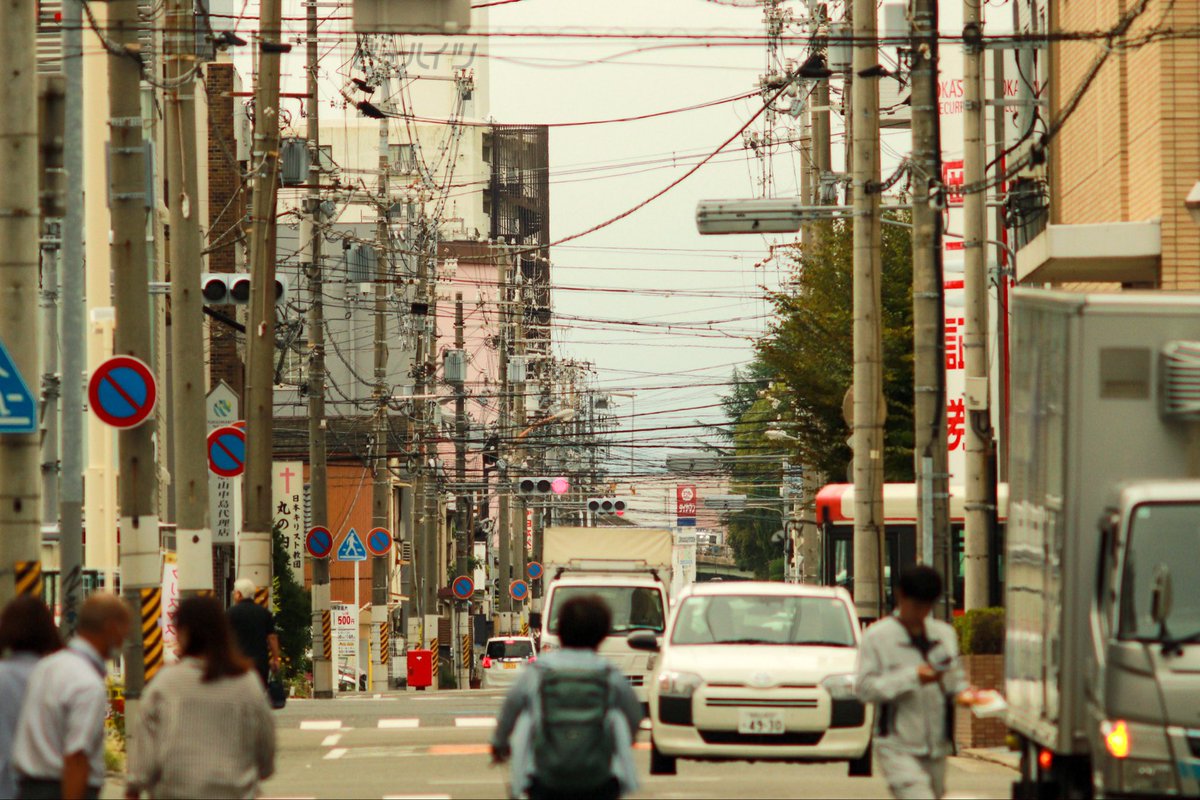 banene0's tweet image. #Takumar
300mm f6.3
Lightroomで現像