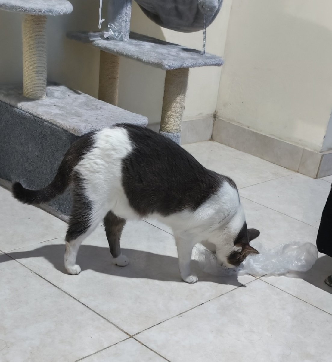 𝖏𝖚𝖕𝖎𝖙𝖊𝖗⁷ tweet media