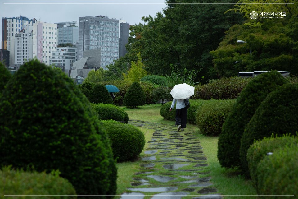 [Today’s EwhaCam] Ewha Campus with Fall Rain

#raining_ewha #raindrops #colorful_umbrellas #fall_rain #missing_the_blue_sky #ewhawomansuniversity #EWHA #UNIV
