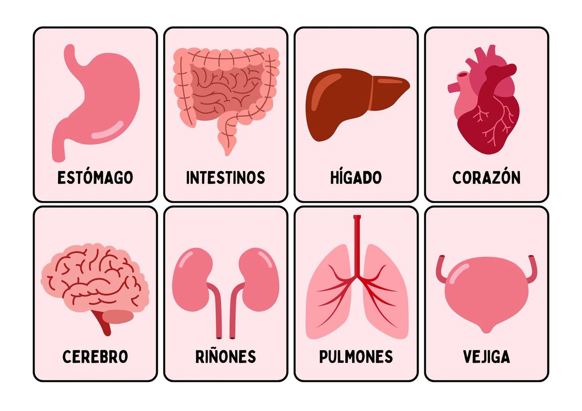 #ESTUDIA_MEDICINA 🩺👨🏻‍⚕️ tweet media