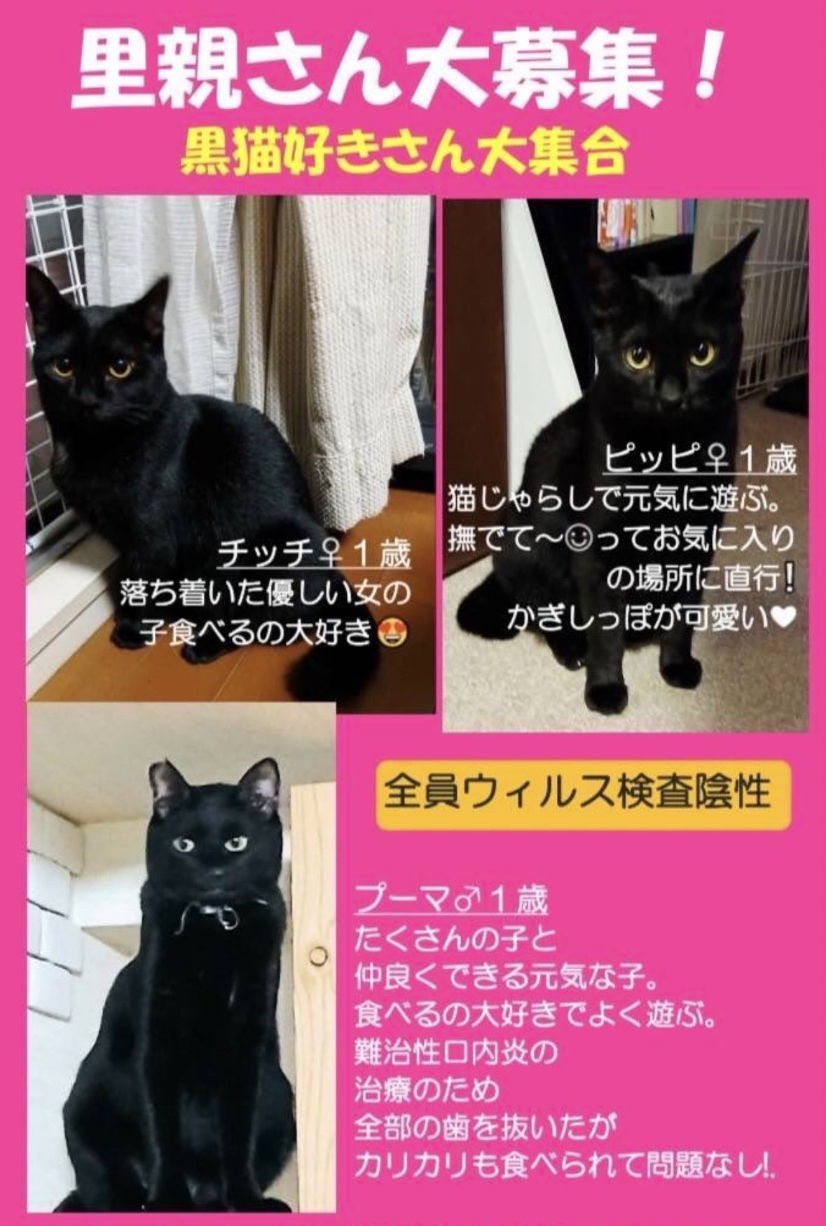 こねこ屋様♡ありがとうございます♡ mai on X: 