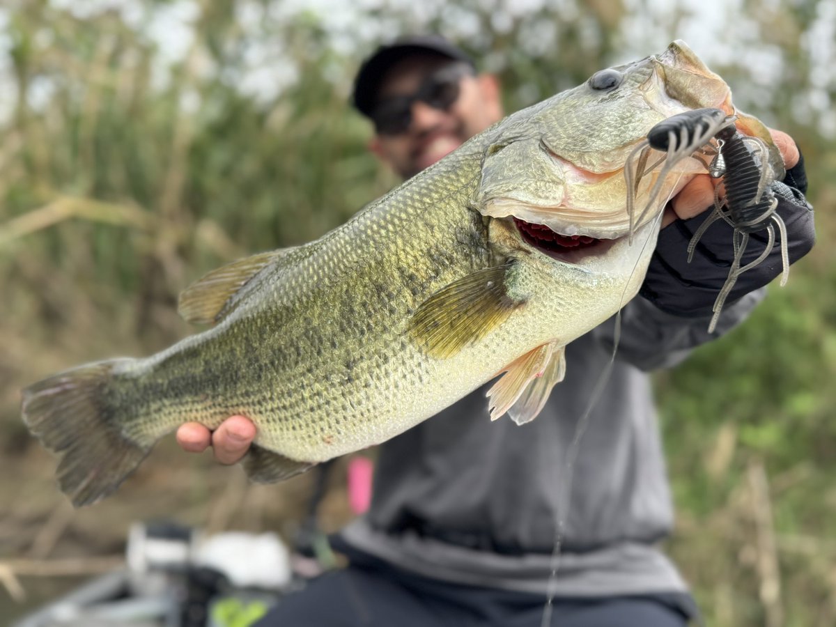 Ryo Sakurai【MPB LURES】【GRAVEL】 (@mpb_lures) / Posts / X