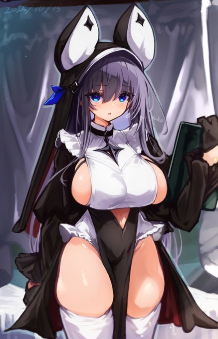 これは診療の用途が幅広い魔族シスター( 