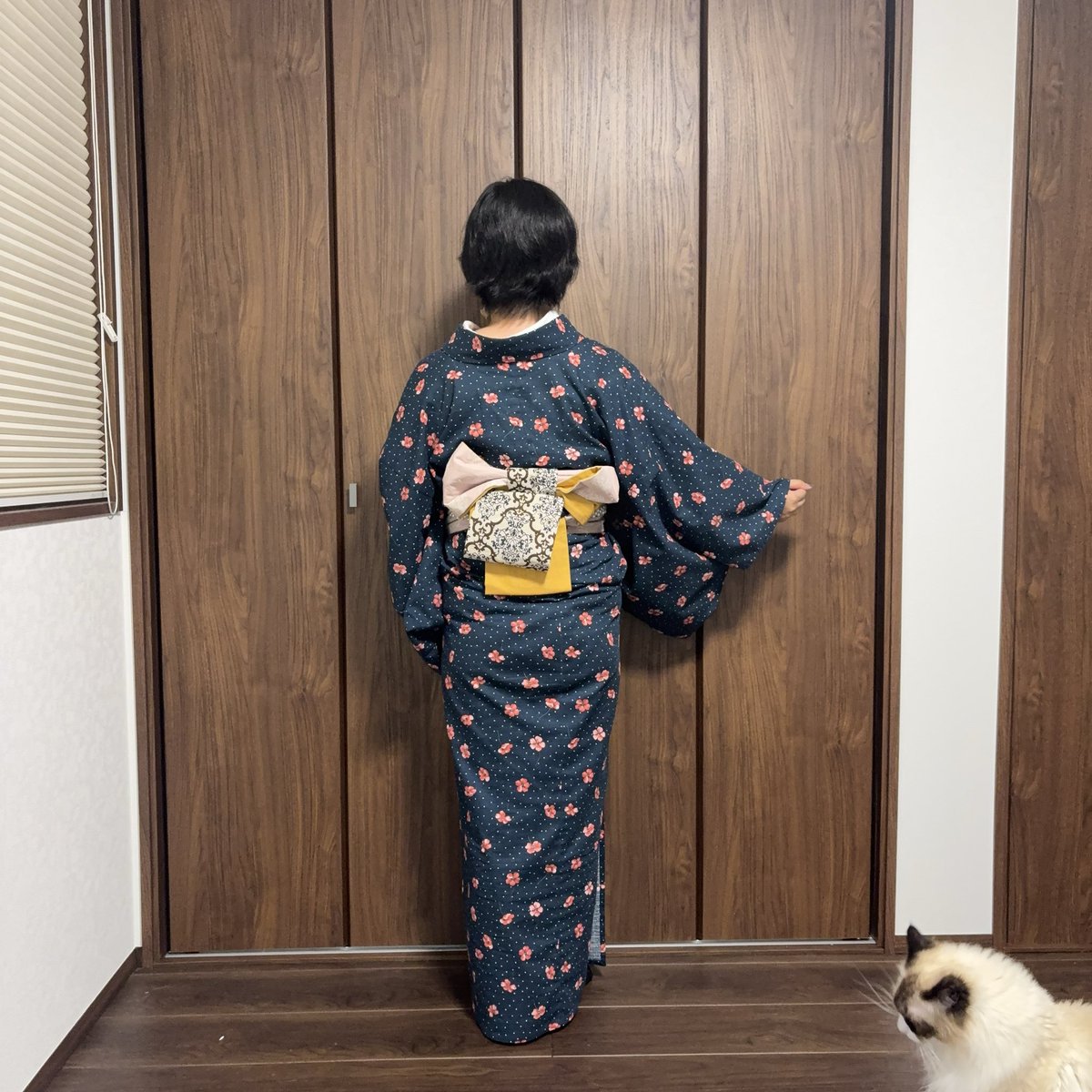 着物女性と猫 楽天市場】【犬と生活 猫の暮らし猫 服 猫服 着物 振袖 七五三