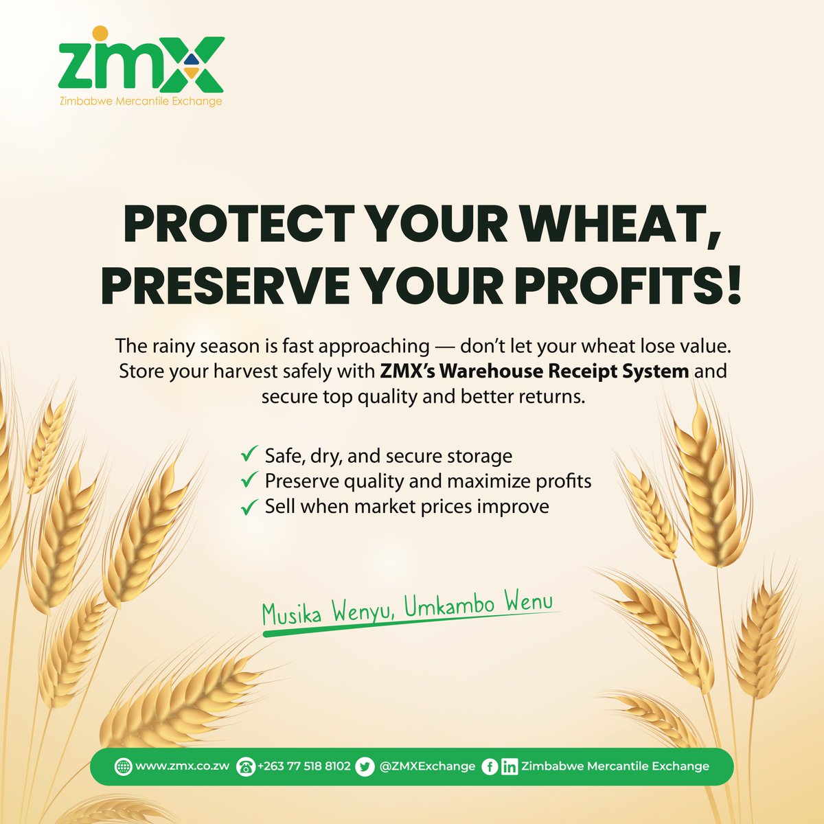 The rainy season is coming. Is your wheat protected?
Smart farmers are using ZMX Warehouse Receipt System to store their wheat safely and sell at the right time — not under pressure.

Chengetedza goho ne ZMX!
Musika Wenyu, Umkambo Wenu