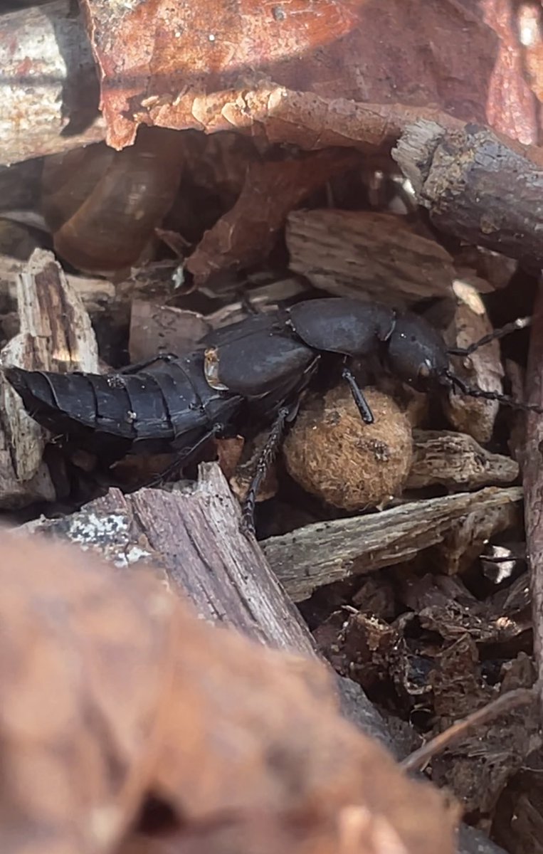 Who up roving they shit rn