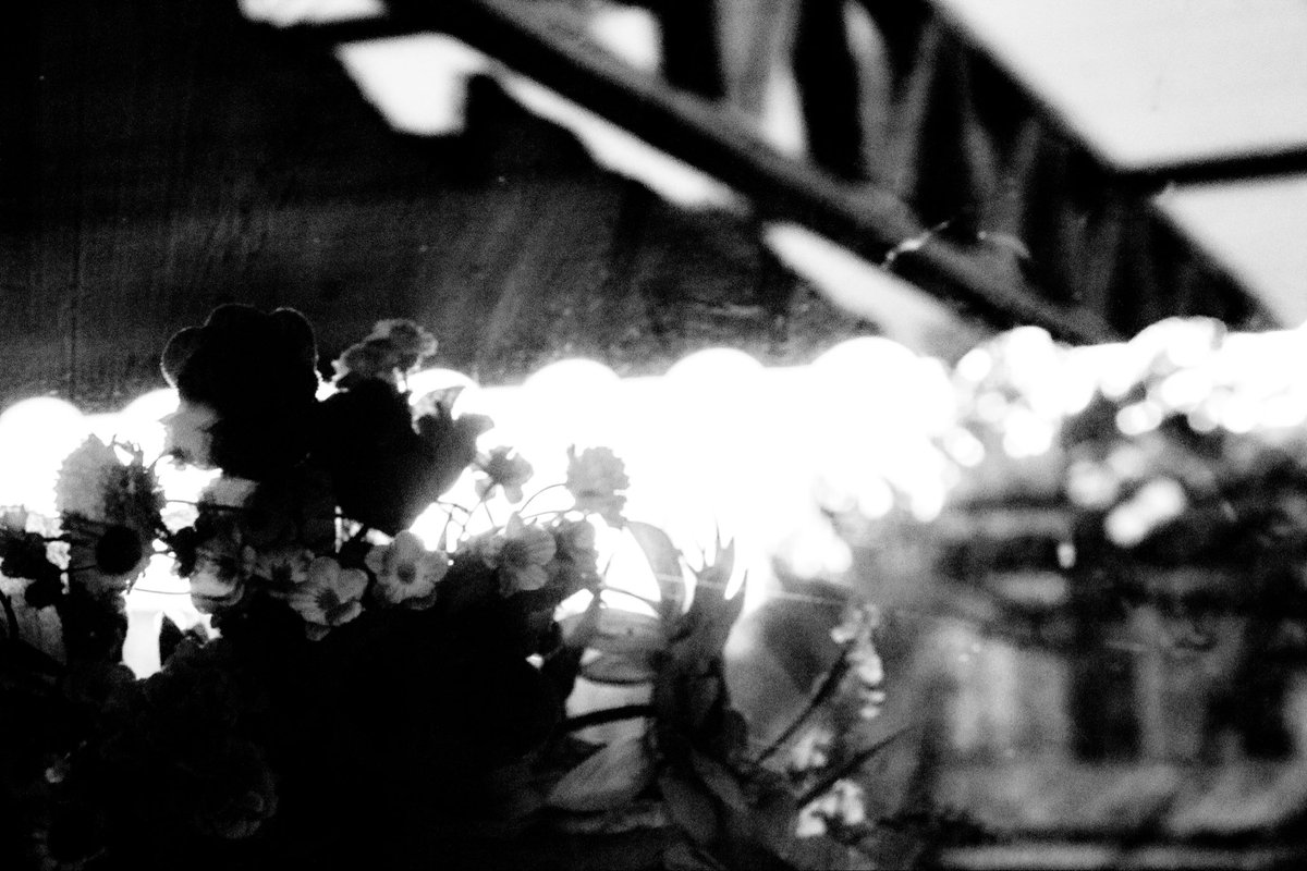 Late GM🤍

Fading Garden

8/10
5 xtz

objkt.com/tokens/KT1WuWj…