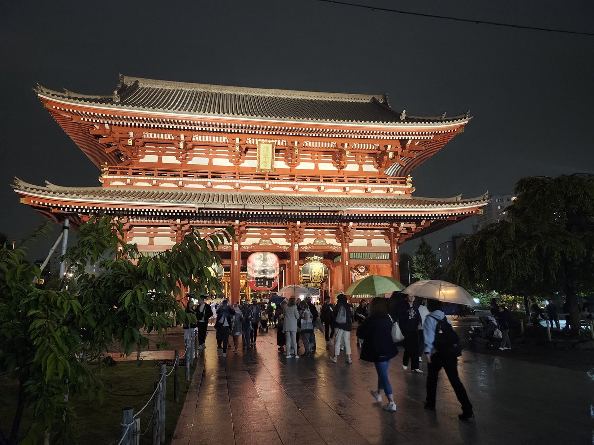 久々にまげちゃん連れて、忘れ物取りに行きました。
帰り道に歩いて浅草寺へ(思ったよりも遠かった💦)
すっかり暗くなってしまって、仲見世もわりと閉まっていたし、結局なにも食べずに帰りの電車に乗ることにしました。

🐥あさくさグルメっていったのに……

やはり夕方に家を出たのがよくなかったね