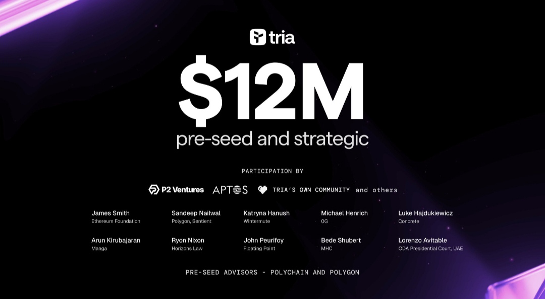 circlechain tweet media