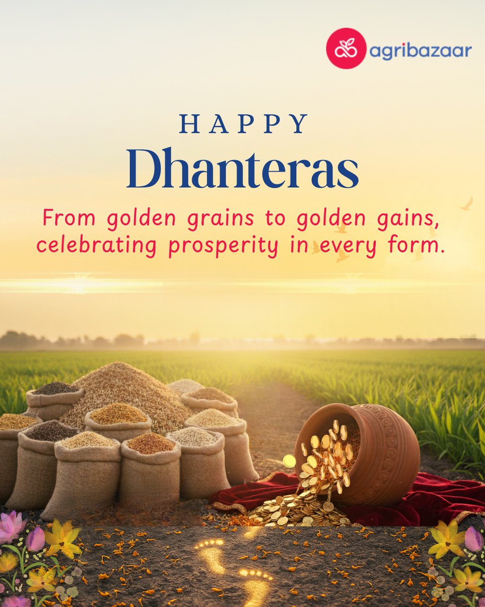 From golden fields that nourish millions to the grains that turn into prosperity, may this season remind us that true wealth lies in growth, gratitude, and giving. Wishing everyone a harvest of happiness and success. 🌾✨
#HappyDhanteras #FestivalOfProsperity #agribazaar