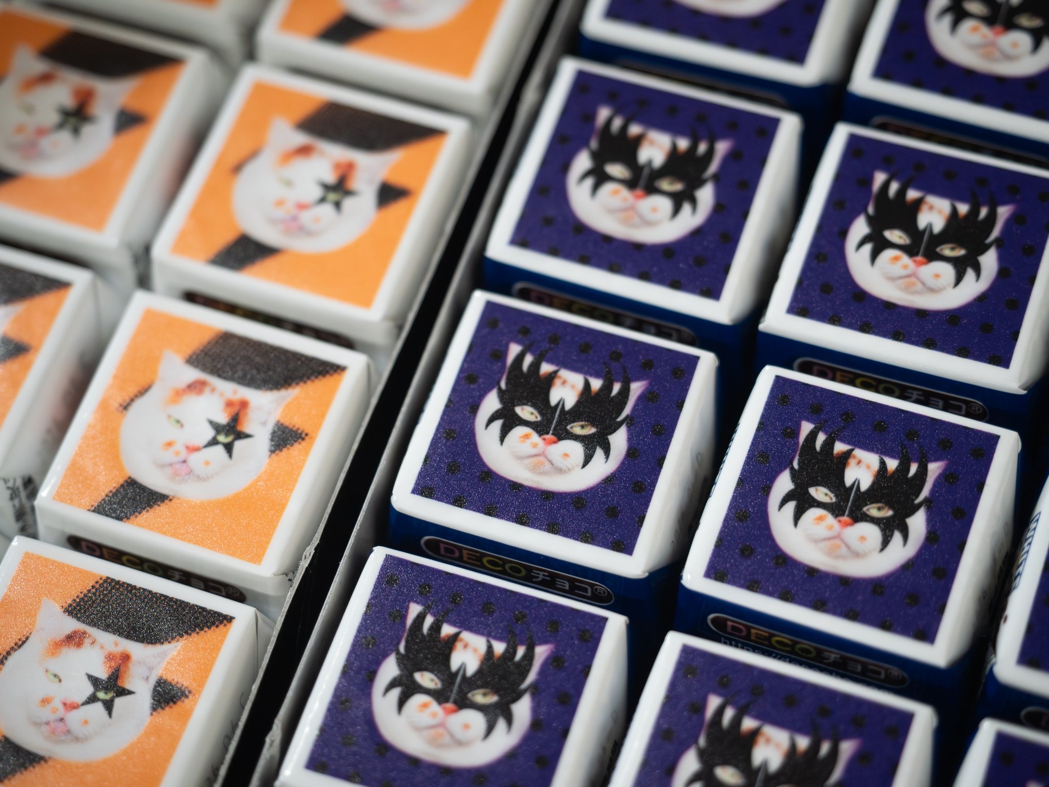 ねこ ページ 71mlxJgnHvL._AC_UL210_SR210,