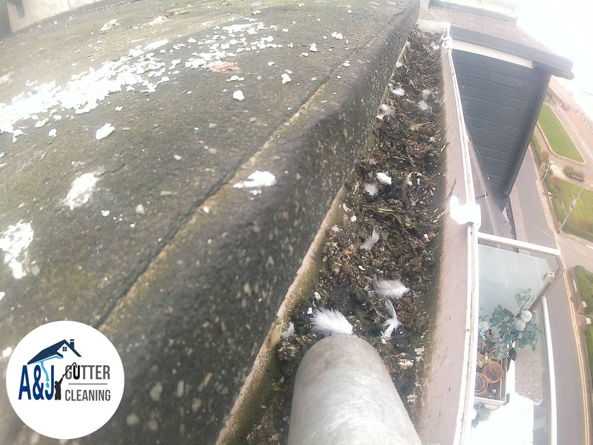 ajgutterclear's tweet photo. Not a bad view from the office this morning in Bridlington, for a returning customer. Couple of before pics, pigeon debris removed from gutter &amp; gully's. Sorted til next year #Bridlington #Hunmanby #Bempton #Flamborough #filey #Driffield #Hornsea #beverley  #gutterclearing https://t.co/4GfGgNymzj