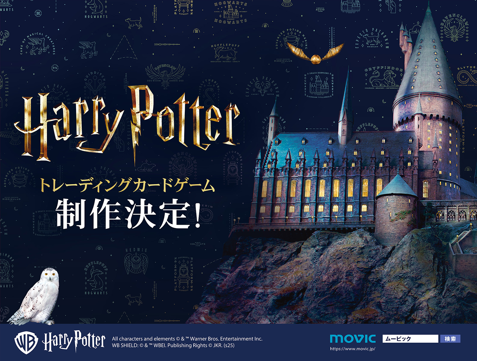 新品　ハリーポッターと賢者の石　トレカ　ムービーカードBOX PANINI Harry Potter Evolution Trading Cards Booster【製品