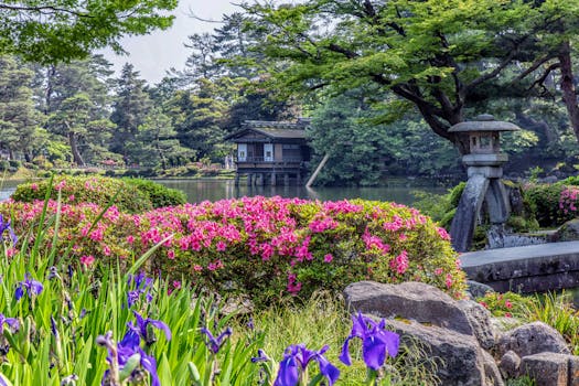 明日から布団干す…予定