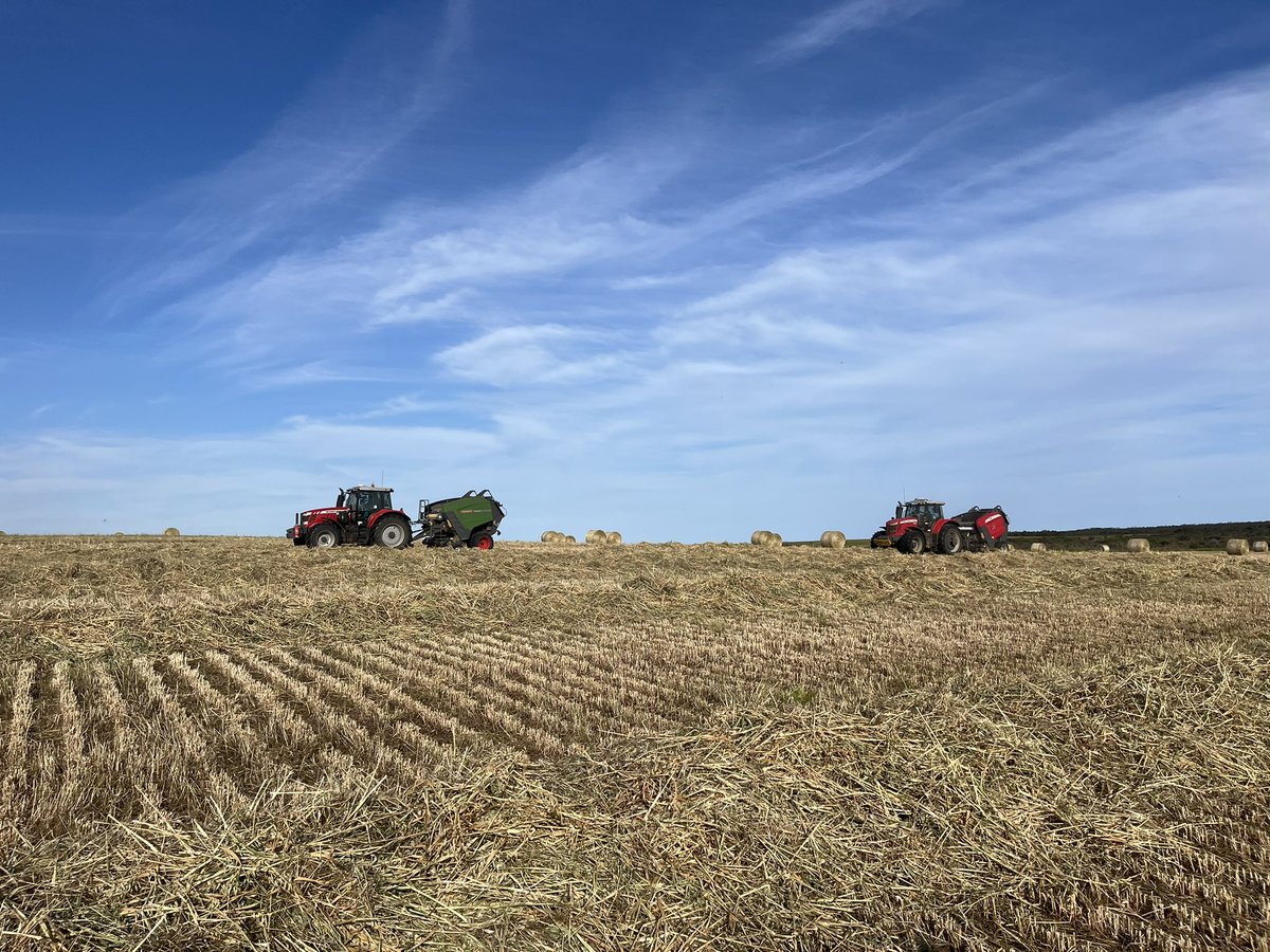 Matthew Bell tweet media