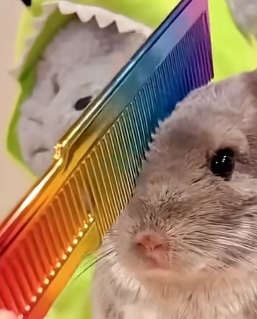 밸패 이제봣는데 기분이 이럼
 ㄴ 뭔기분이지