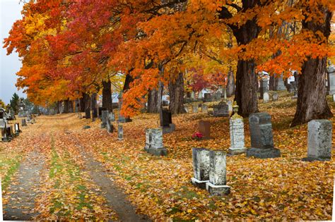 Good morning from Maine my friends and fellow Patriots. An extremely rare rainy day here in the Pine Tree State today. Have a great Thursday everyone...🍁🍂🎃💀