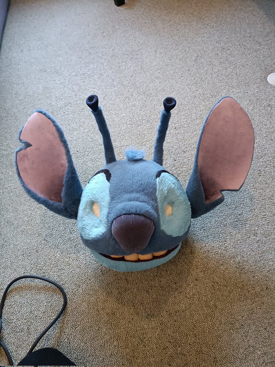 Unshaved side vs shaved side.
Only the ears and bottom lips.

I finally got the ears sewn up 👍