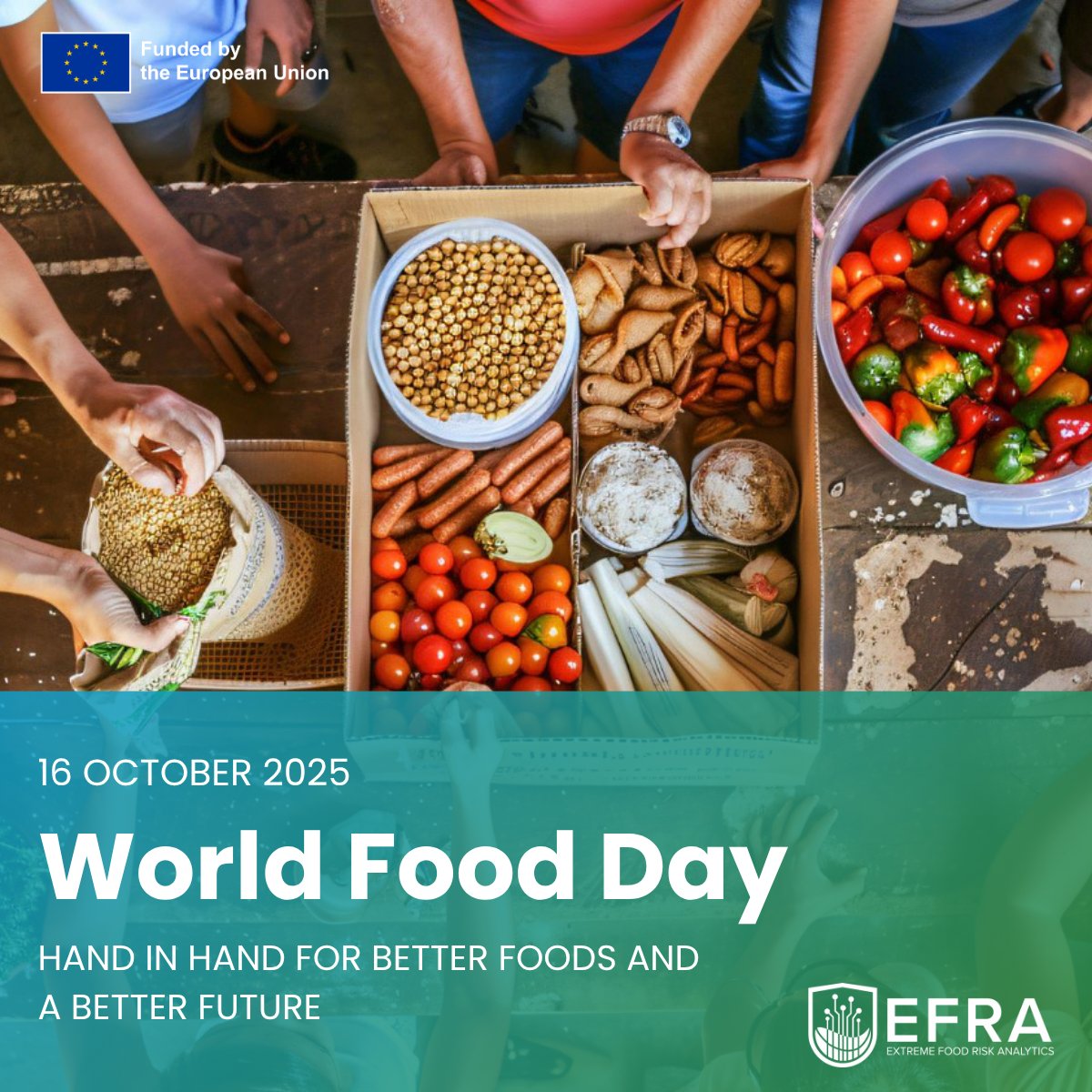 EFRA Project tweet media