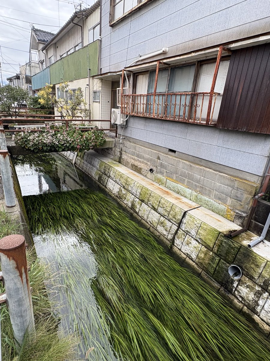 橋のかかる美しい水路