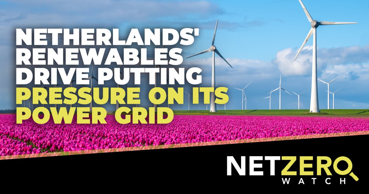 In one of the most-advanced economies in the world, something has gone wrong with the country's power supply. The Dutch national electricity grid is under enormous stress, and in recent years there have been a number of power cuts. The chief executive of Dutch energy producer and