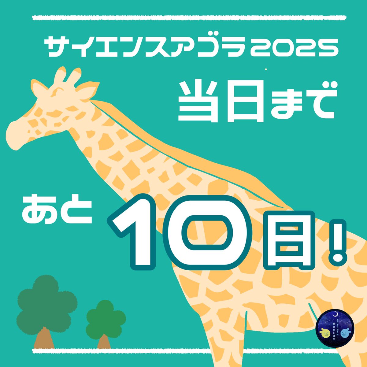 どうぶつたちの眠れない夜に tweet media