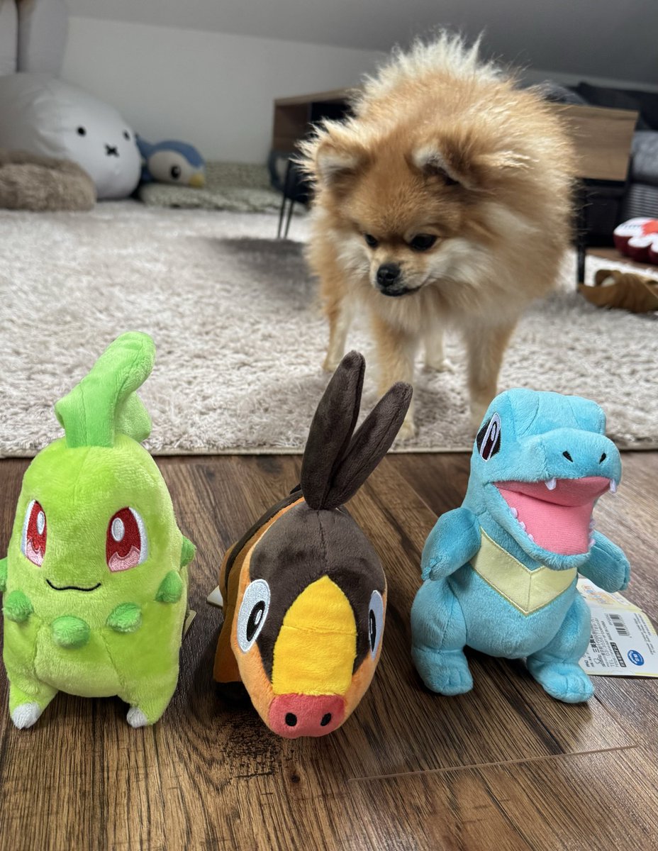 Euch allen viel Spaß mit Pokemon ZA! ❤️
Dipper sucht seinen Starter schon 😊