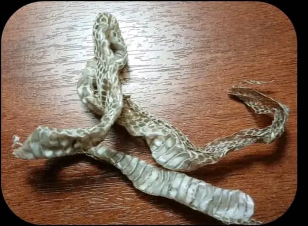 DICK$ON ₿ tweet media