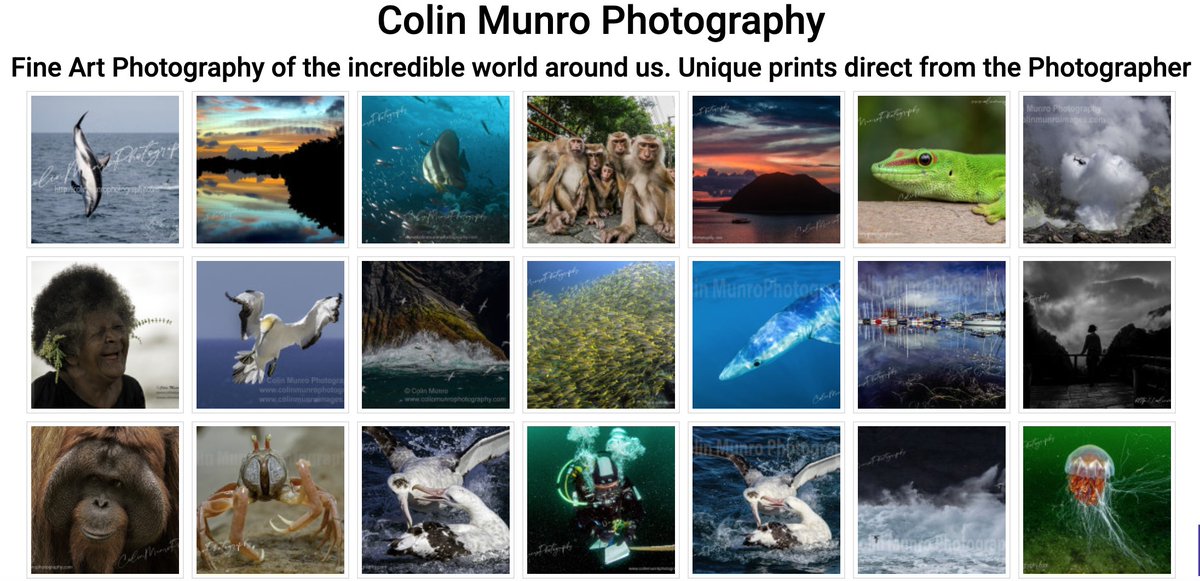 Building a house in Thailand, in the rainy season, is maybe not the best planning. So while sheltering from torrential downpours I've been updating my website, which has starting to look a little tired. 
Feel free to check it out. colinmunrophotography.com