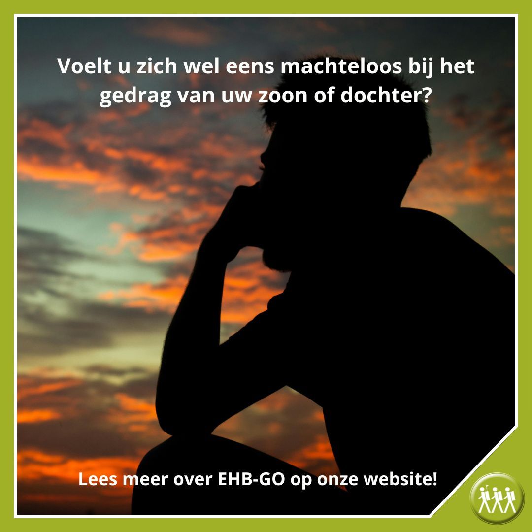 Ouders en kinderen botsen soms, en relaties kunnen onder druk komen te staan.
Met de EHB-Go Methode (Eerste Hulp Bij GedragsOngelukken) doorbreek je patronen en breng je rust en herstel in de relatie.
Meer weten? Ontdek hoe op: outbackexplorers.nl/therapie/zelfh…