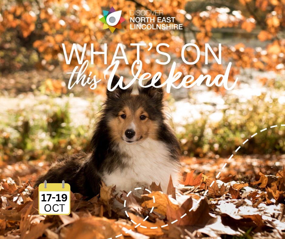 DiscoverNEL tweet media