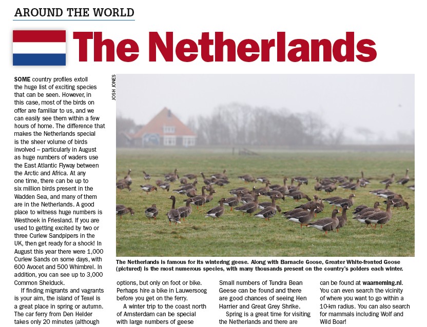 Read my profile on the Netherlands in the November issue of Birdwatch out soon