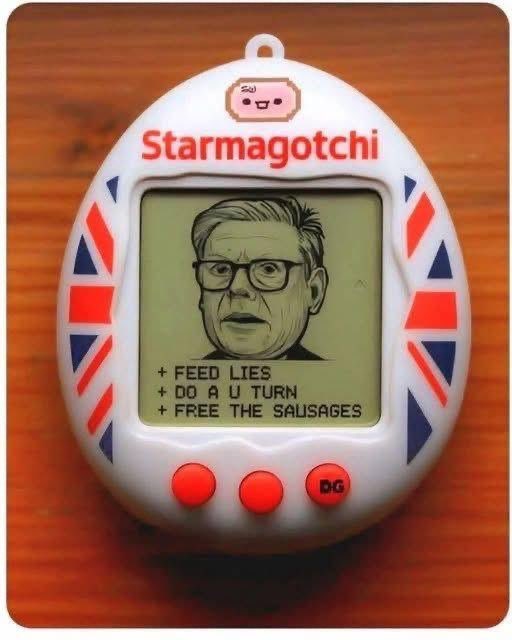 conkers16's tweet image. #StarmerOutNow #LabourLies