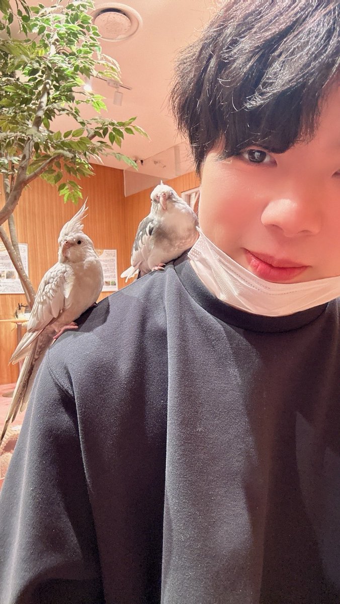 tatsu_slashAx's tweet photo. ララポート福岡にこんなとこがあるなんて
ゼロ距離動物ふれあい体験
インコは肩に飛んできた。 https://t.co/olJyMJNG9C