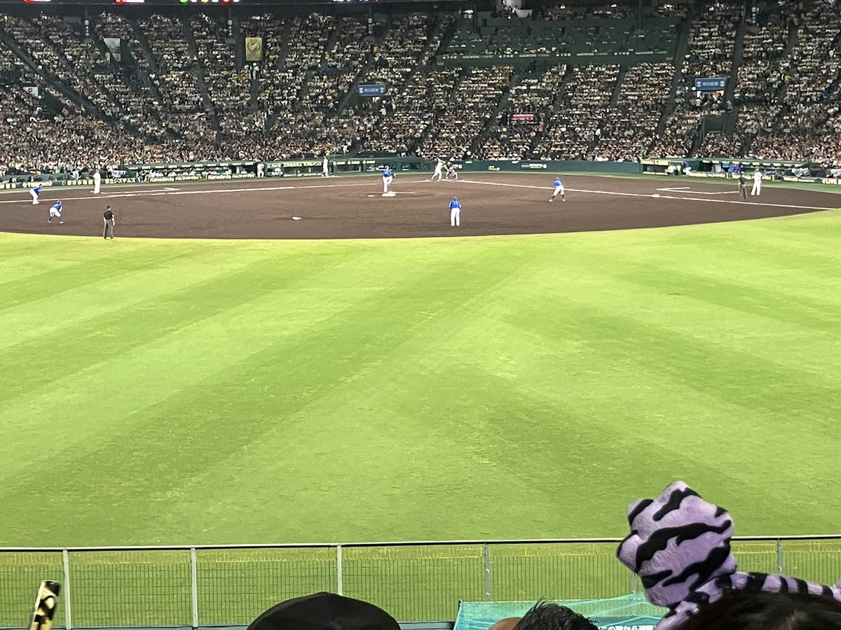 今日はここから