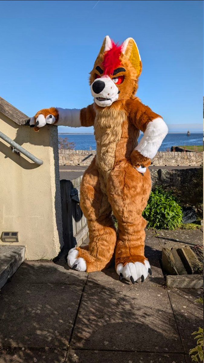 CassiusRed's tweet image. Say hello to Corin the Demon Husky! Finished him up last week, look out for him at @FurTheRecord24  in December and @Scotiacon in February!