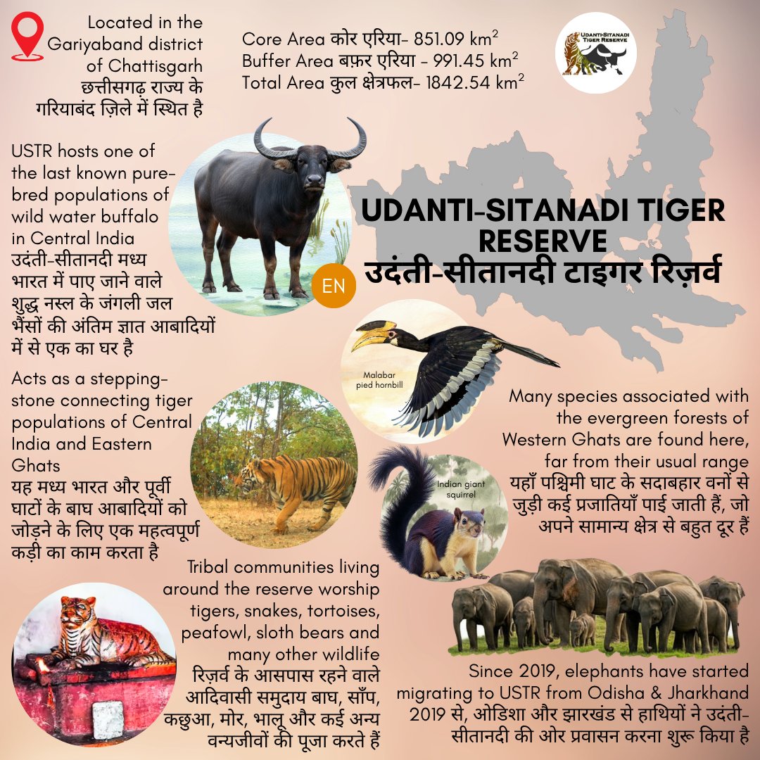 Named after the two tributaries of the Mahanadi, ✨Udanti-Sitanadi✨ was declared as a tiger reserve in 2009. It boasts diverse forest types, including Tropical Peninsular Sal and Southern Tropical Dry Deciduous mixed forests, creating microclimates for flora and fauna to