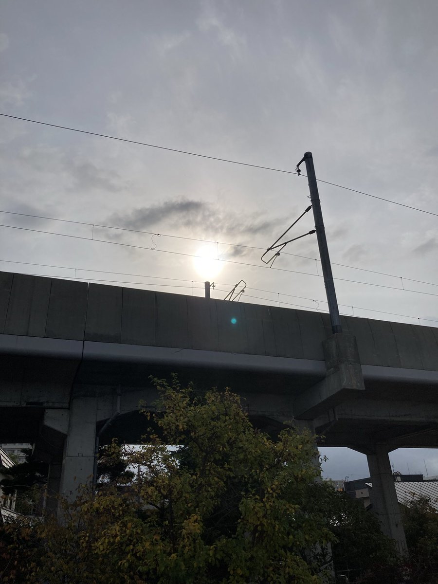 Good morning ☀️🕊️💕Afternoon 🍊
Evening 🍇 night ✨🦉