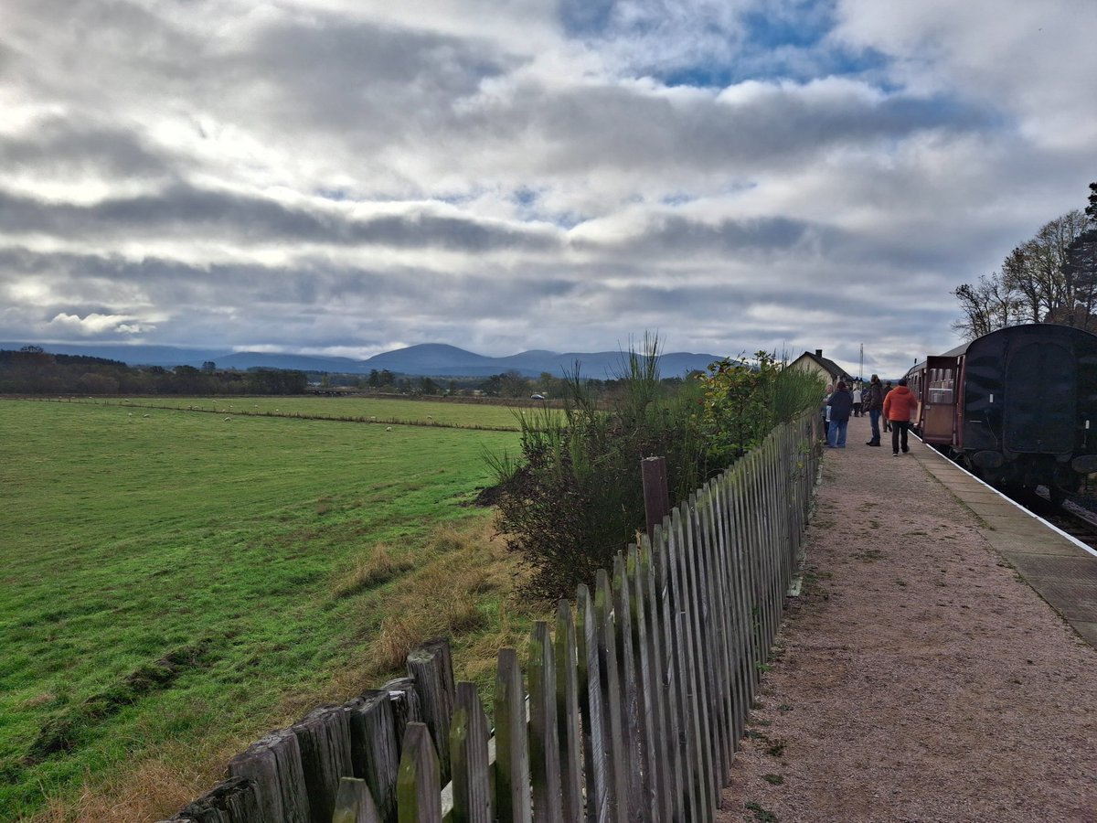 TinyTim78 tweet media