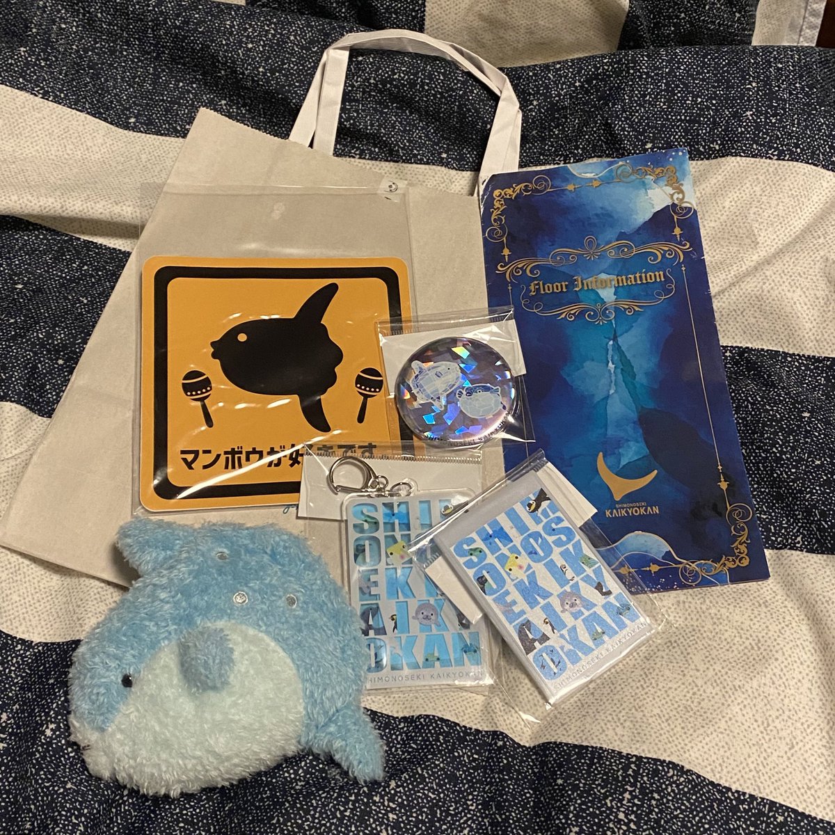 あんたたち〜友達連れて帰って来たわよ〜🤗💕
基本横を向いているが、仲良くするように😇笑

ふわふわマンボウとお土産たち🐡💕
海響館グッズのセンス良すぎやしませんか…！？