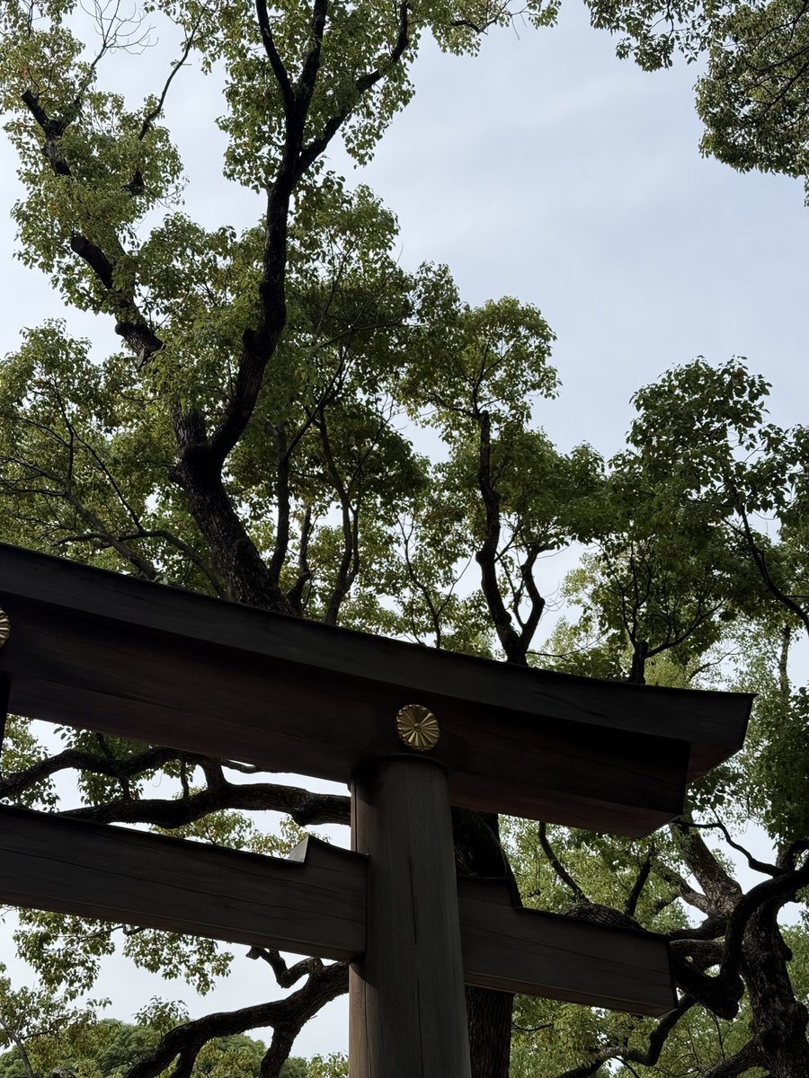 larsencc's tweet image. Japan is cool, but have you been to Korea?
