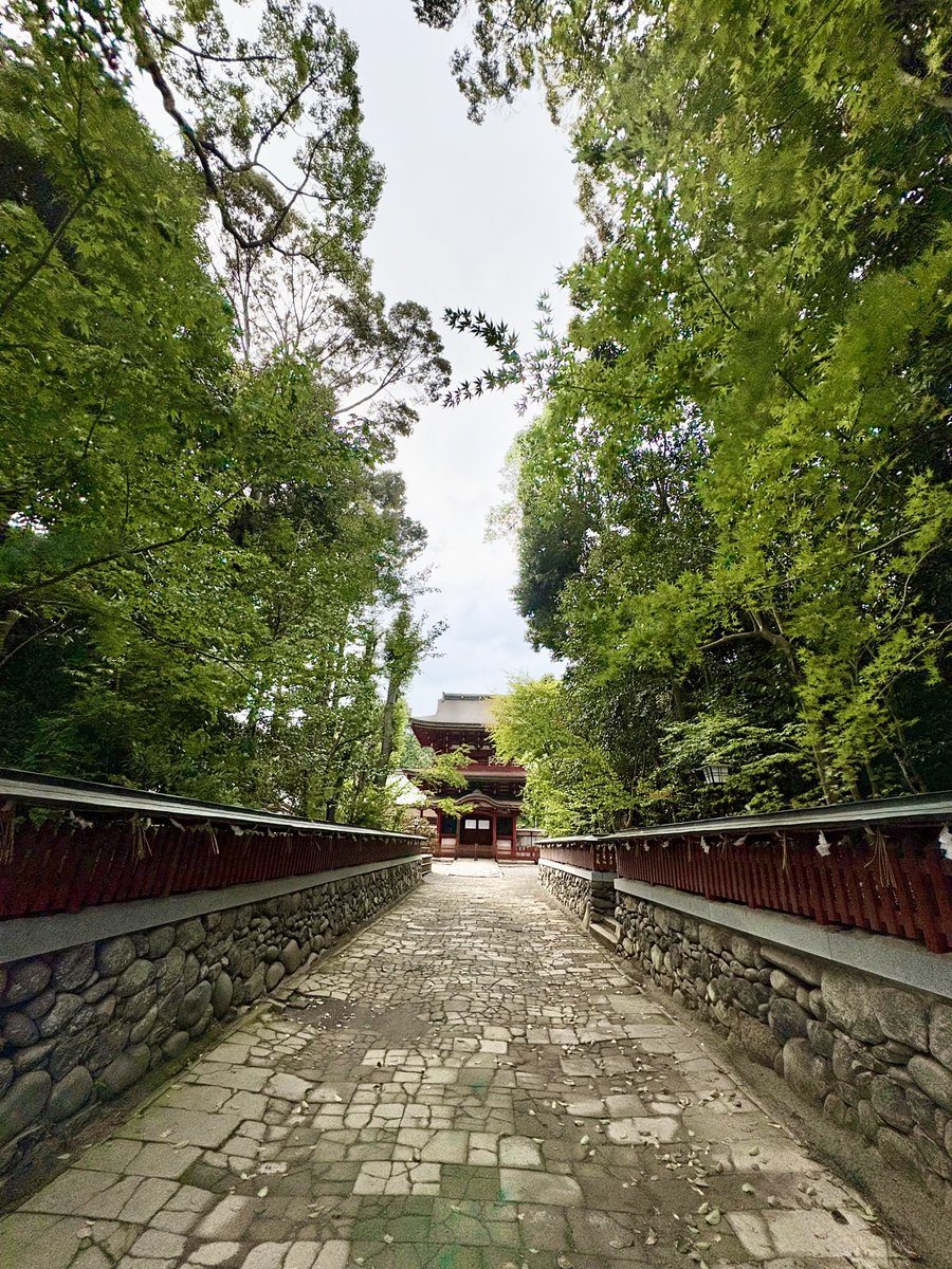 __chee__'s tweet photo. 薦神社 https://t.co/20ewE0gFpt
