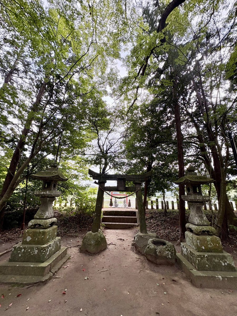 __chee__'s tweet photo. 薦神社 https://t.co/20ewE0gFpt