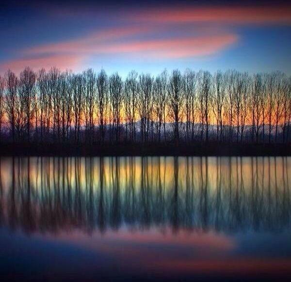 "The future belongs to those
who believe in the beauty of
their dreams."

~ Eleanor  Roosevelt