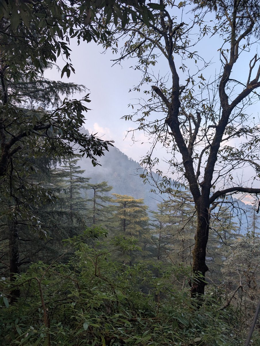 0xlelouch_'s tweet image. My superpower as a remote software dev
The real superpower of being a remote developer isn’t just freedom it’s the optionality it gives you.
I have been working from landour for a week now and realised how blessed we are to have this kind of profession.
You can work from…