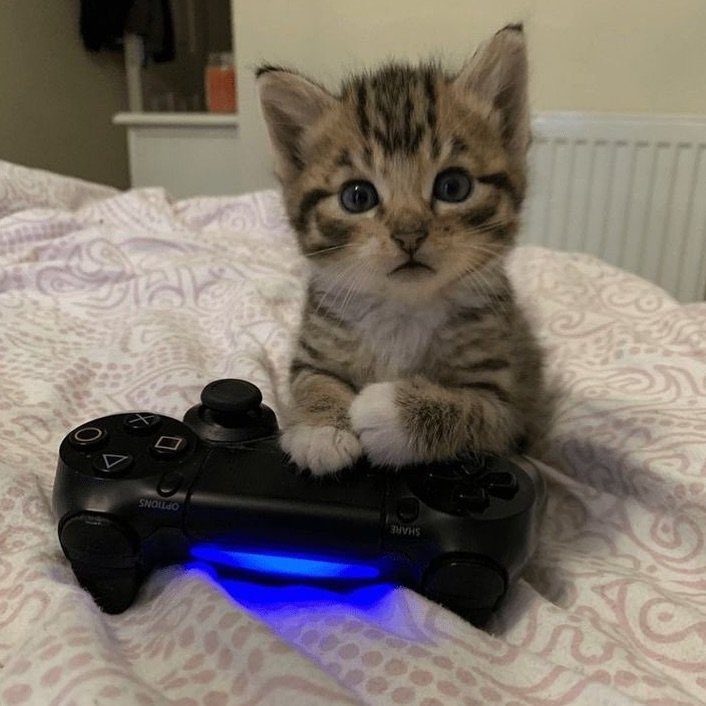 takerukr tweet media