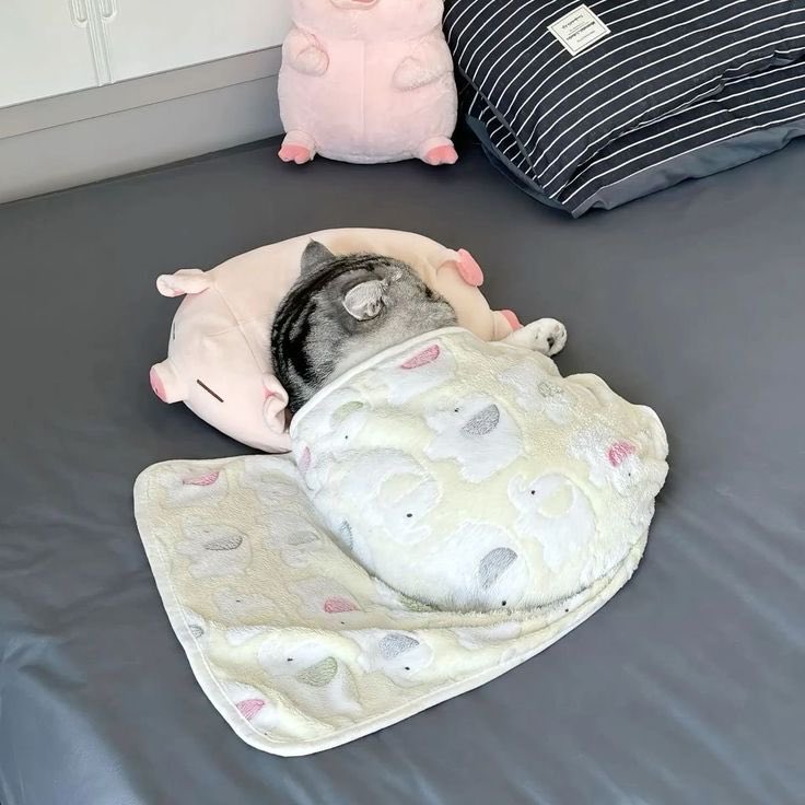Goodnight chat